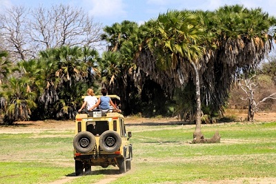Een blik jeep op safari in Tanzania