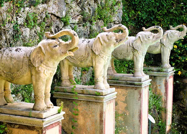 Een blik op 4 olifanten beelden in het Scherrer Park